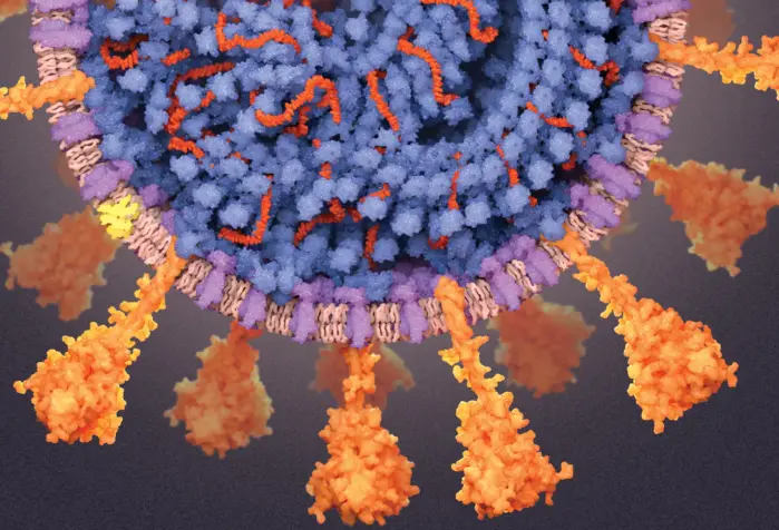 SARS COV2 S1 (His Tag)