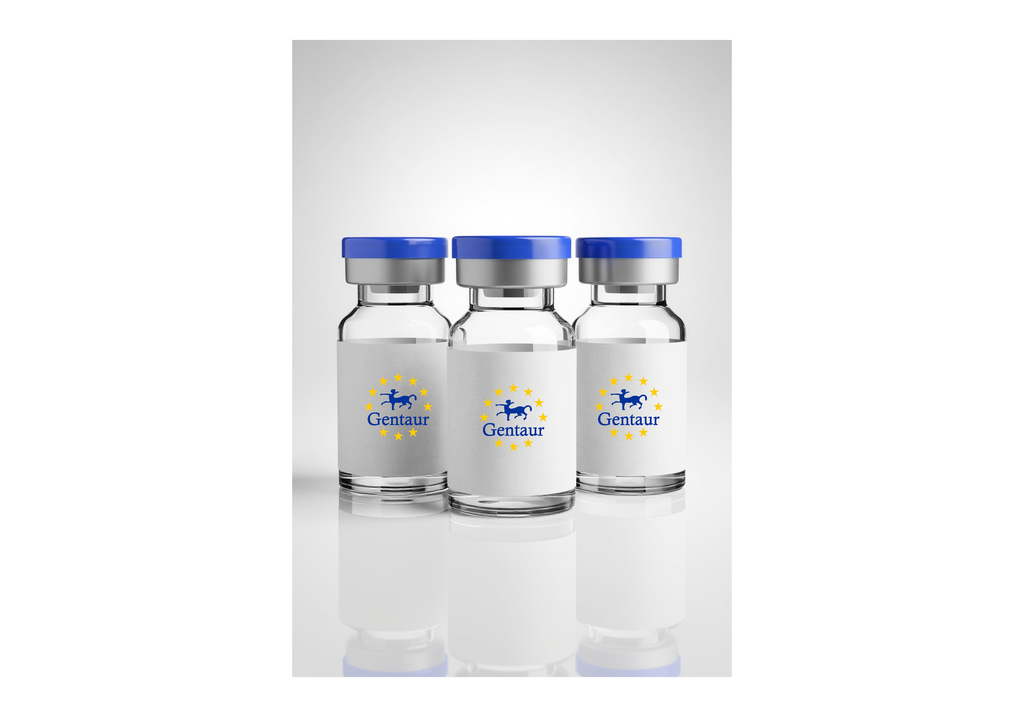 SARS-CoV-2 Spike Protein IgG ELISA