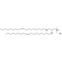 [14476-100] DOTMA Chloride - 100mg