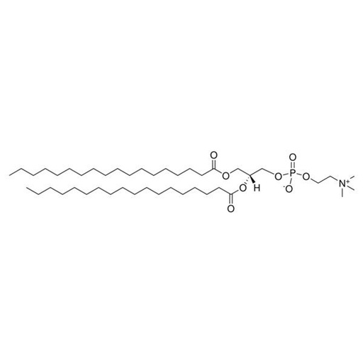 [26437-1] DSPC - 1g