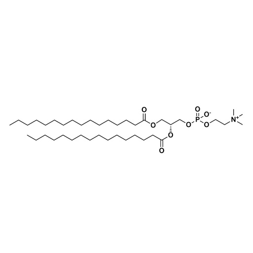 [26449-25] DPPC- Dipalmitoylphosphatidylcholine - 25mg